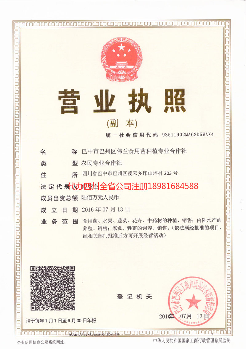 新郑新郑伟兰食用菌种植专业合作社